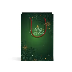 Gift bag (28.5x46)