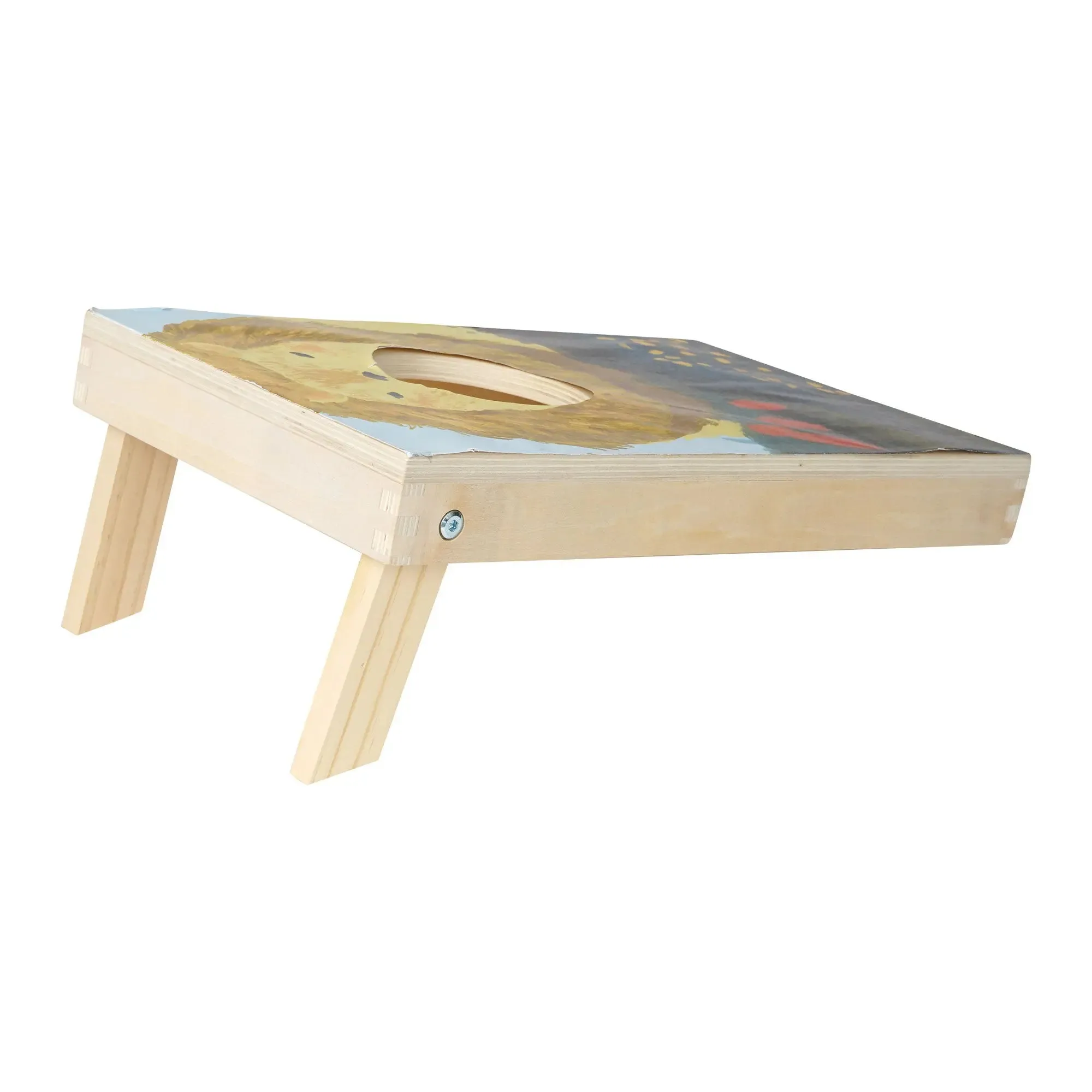 Kids Bean Bag Toss Game | Wild Ones