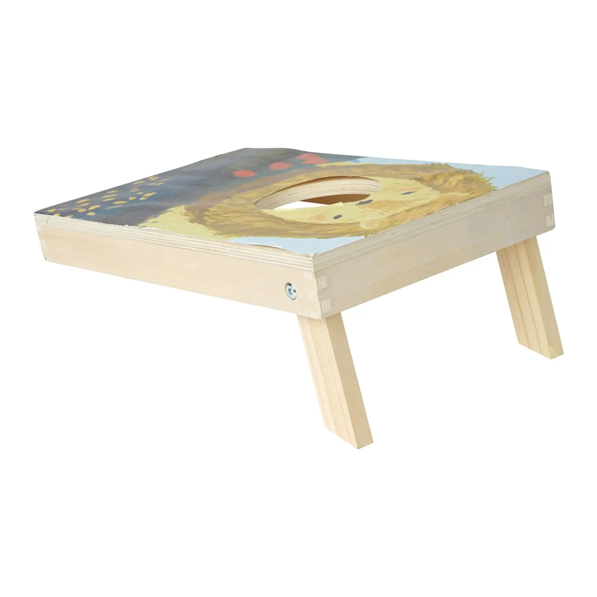 Kids Bean Bag Toss Game | Wild Ones